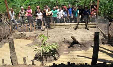 Yellow Spotted Turtle Repopulation Project Volunteer Work in Ecuador