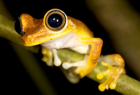 Working in Conservation through Education in Ecuador